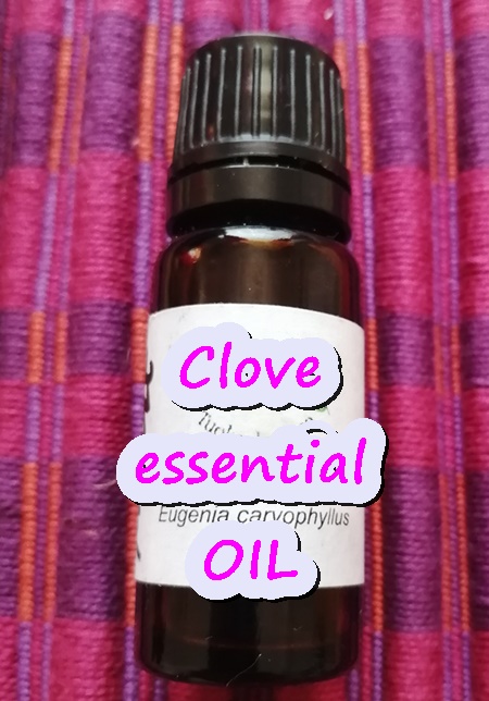 Benepisyo ng Clove Essential Oil