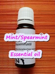 Gamit at benepisyo ng mint o spearmint essential oil