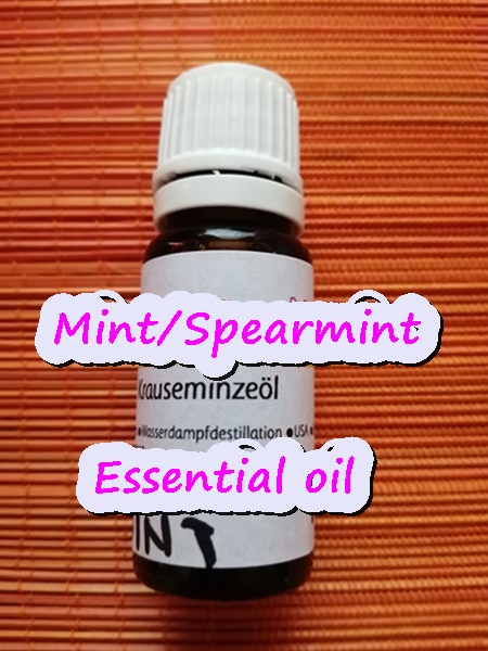 Gamit at benepisyo ng Spearmint Essential Oil