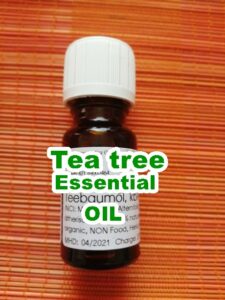 Gamit at benepisyo ng tea tree essential oil sa kalusugan, balat o kutis at buhok