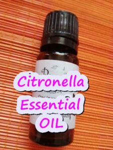 Gamit at benepisyo ng Citronella essntial oil.